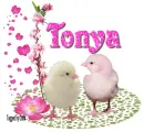 Two Chicks- Tonya