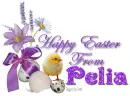 Chick with purple flowers- Pelia