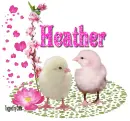 Two Chick- Heather