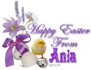Chick with purple flowers- Ania