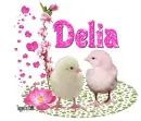 Two Chicks-Delia