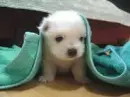 Boo! Scared yea! 