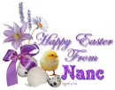Chick with purple flowers_Nanc