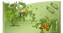 clipart