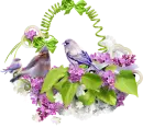 flowers and birds