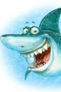 Shark!!