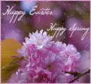 Happy Easter/Spring