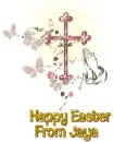 Pink Cross- Jaya