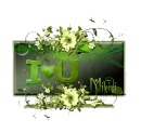 glitter graphics  misk