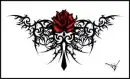 rose