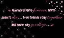 Never Say Goodbye
