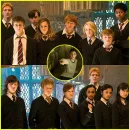 Harry Potter - The Army