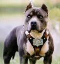 soooo cute