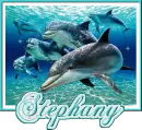 Stephany