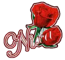 NIXA NAME WITH ROSES