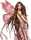 the sparkle fairy