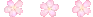 flowers line