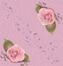 WEDDING ROSE
