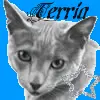 Terria