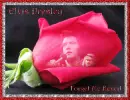Elvis Presley-Forget Me Never!