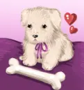 cute dog