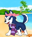 myminipet.com Snowy3 - bg beach
