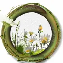 clipart nature