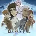 wolf rain
