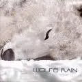 wolf rain