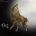 tobe :3
