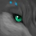 Wolf's eyes