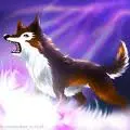 my wolf.
