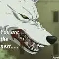 wolf rain