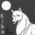 Kiba<3