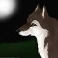 wolf.
