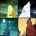 wolf rain