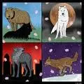 wolf's rain