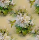 Backgrounds