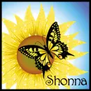 Sunflower And Butterfly - Shonna