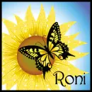 Sunflower And Butterfly - Roni