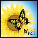 Sunflower And Butterfly - Mel