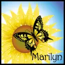 Sunflower And Butterfly - Marilyn