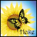 Sunflower And Butterfly - Heike