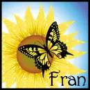 Sunflower And Butterfly - Fran
