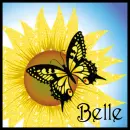 Sunflower And Butterfly - Belle