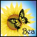 Sunflower And Butterfly - Bea
