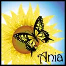Sunflower And Butterfly - Ania