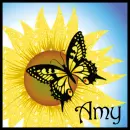 Sunflower And Butterfly - Amy
