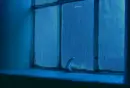 Blue Rainy Window
