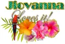 Tropical loves it- Jiovanna